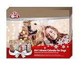 8in1 Adventskalender für Hunde mit 24 leckeren Überraschungen (verschiedene Leckerlis, Kaustangen und Snacks)