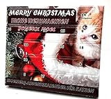 Adventskalender für Katzen Katzenspielzeug Weihnachten
