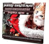 Adventskalender für Katzen Katzenspielzeug Weihnachten